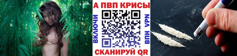 Alpha-PVP СК КРИС Щучье