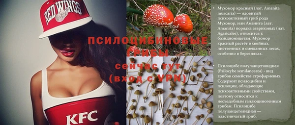 хмурый Богданович